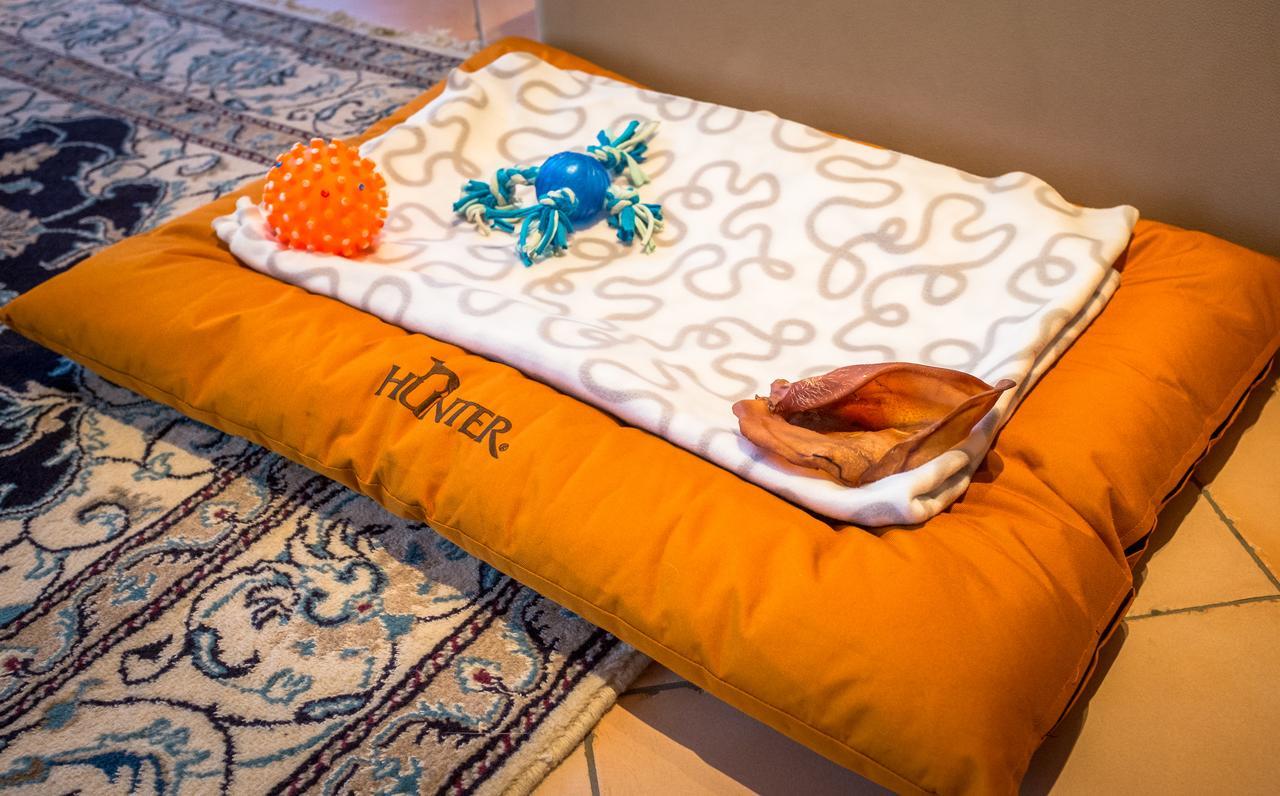 Chalet Verwall Luxury Apartments Lech ภายนอก รูปภาพ